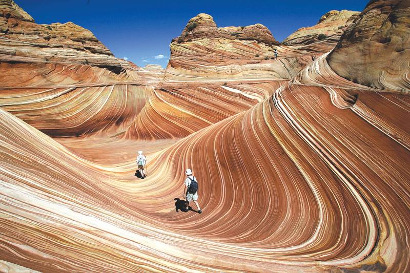 5. Wilderness Curves