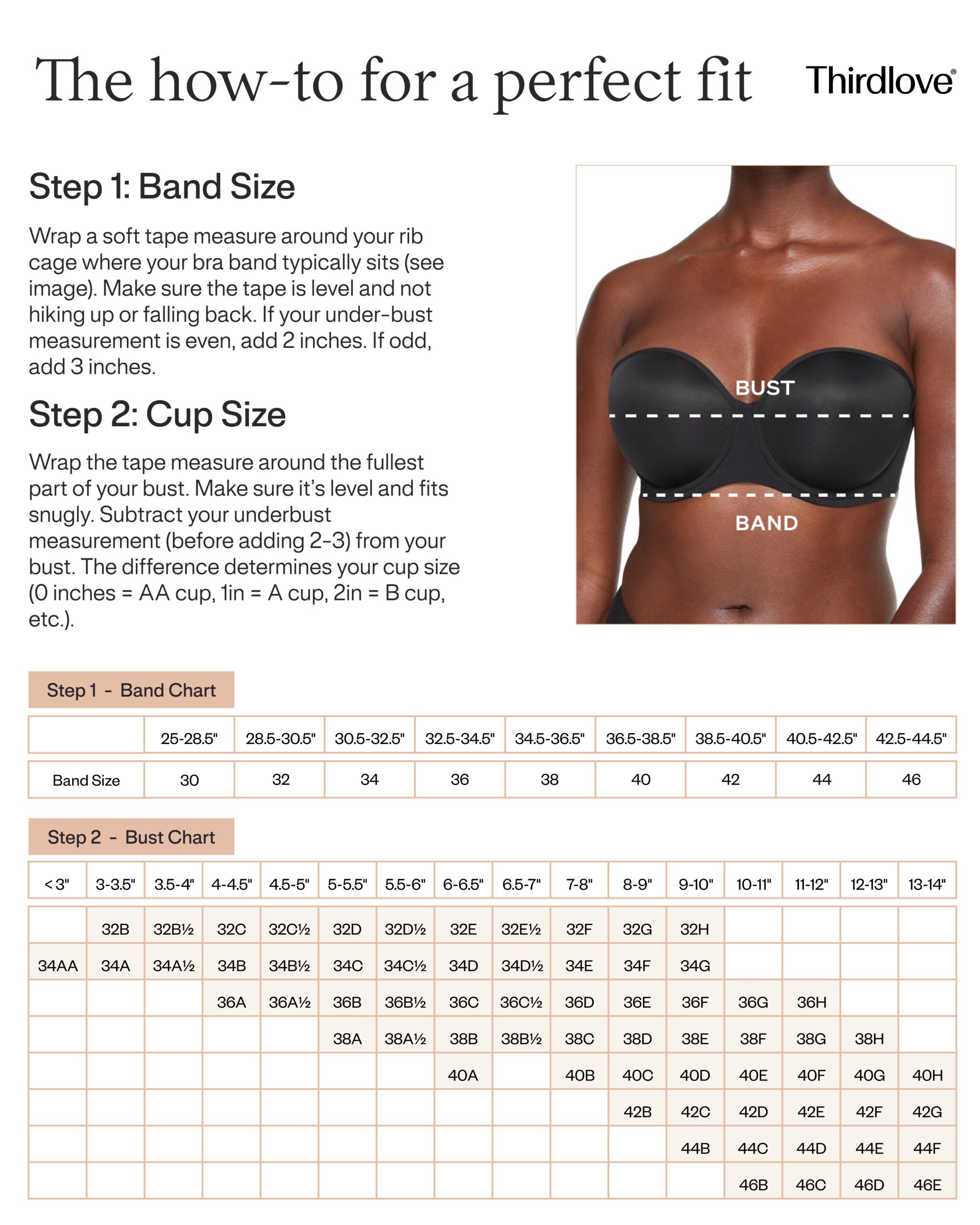 Bra size differential chart mapping band and cup measurements to size, instructional illustration