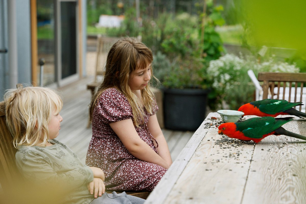 Creative and Mindful Activities