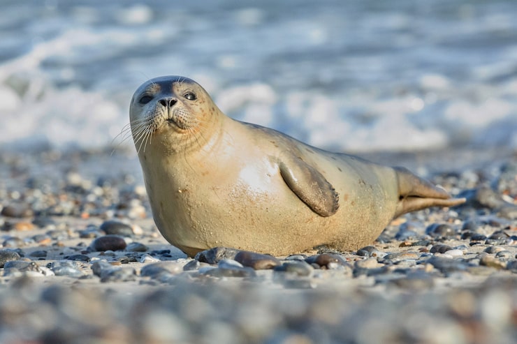 Seal Immediately