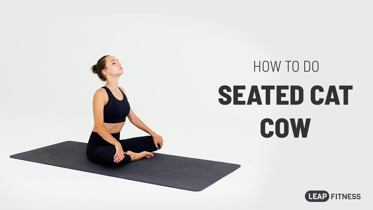 Seated Cat-Cow