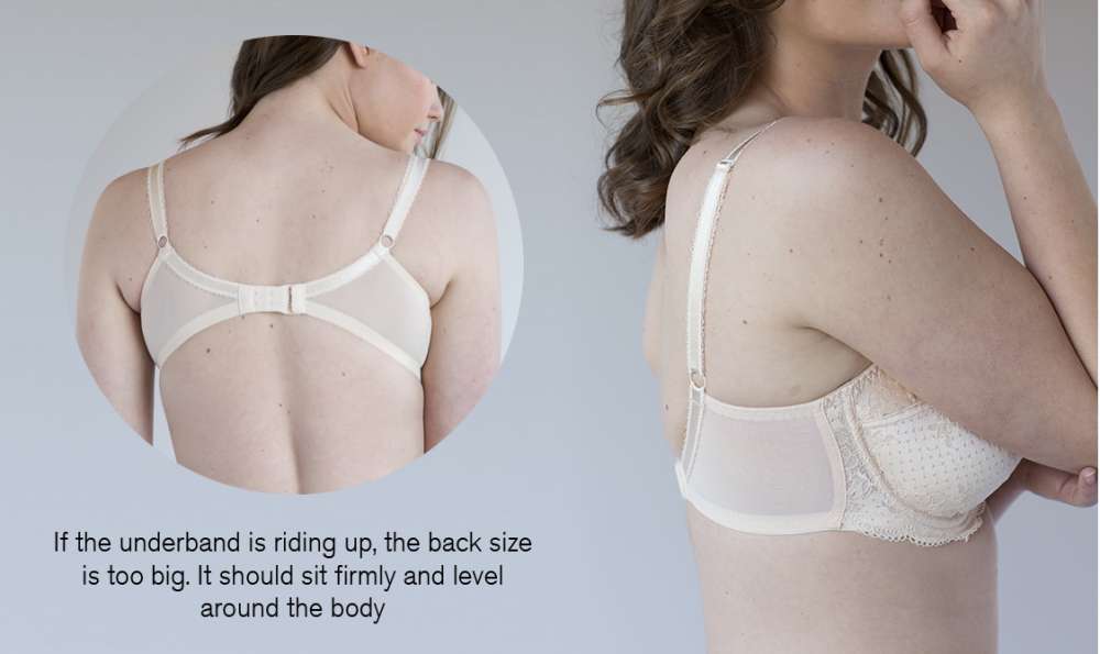 Side-profile reference of a correctly fitted bra band sitting parallel to the floor on a plus-size body