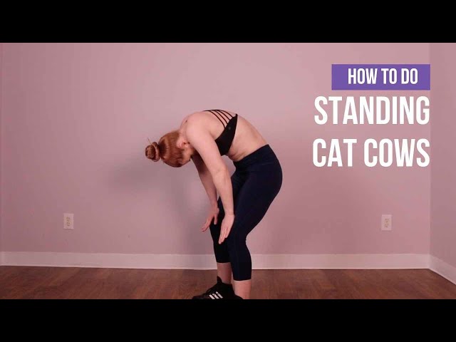 Standing Cat-Cow (1.5 Minutes)