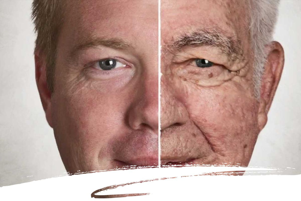 Sunscreen - The Most Important Anti-Aging Product