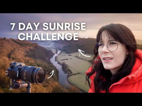 Week 1 - Building Your Foundation (Days 1 through 7)