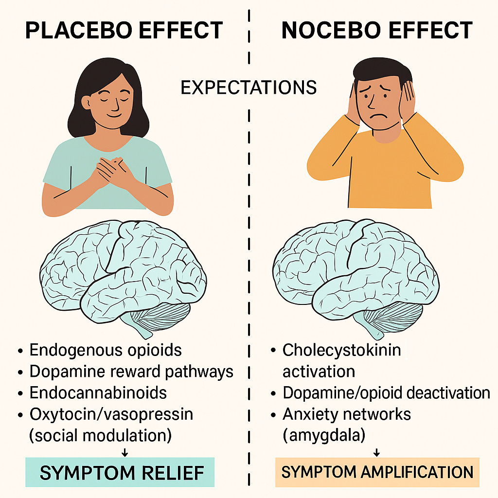 The Nocebo Effect, and Why It Is Good News