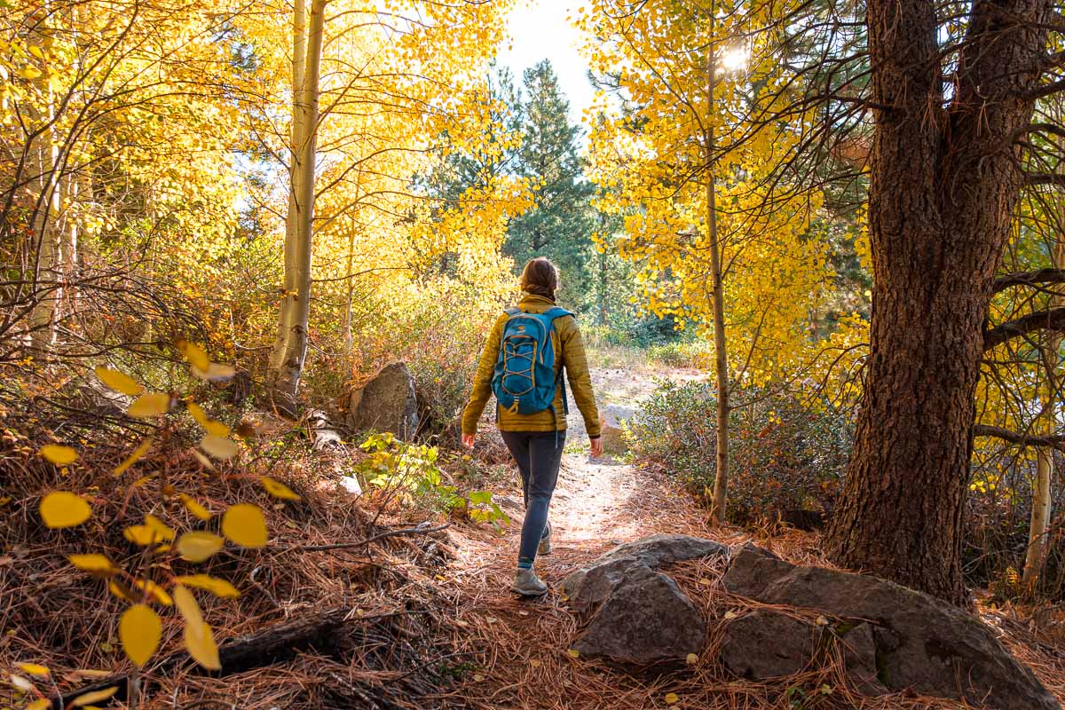 Plus size hiker on rocky trail mountain backdrop autumn