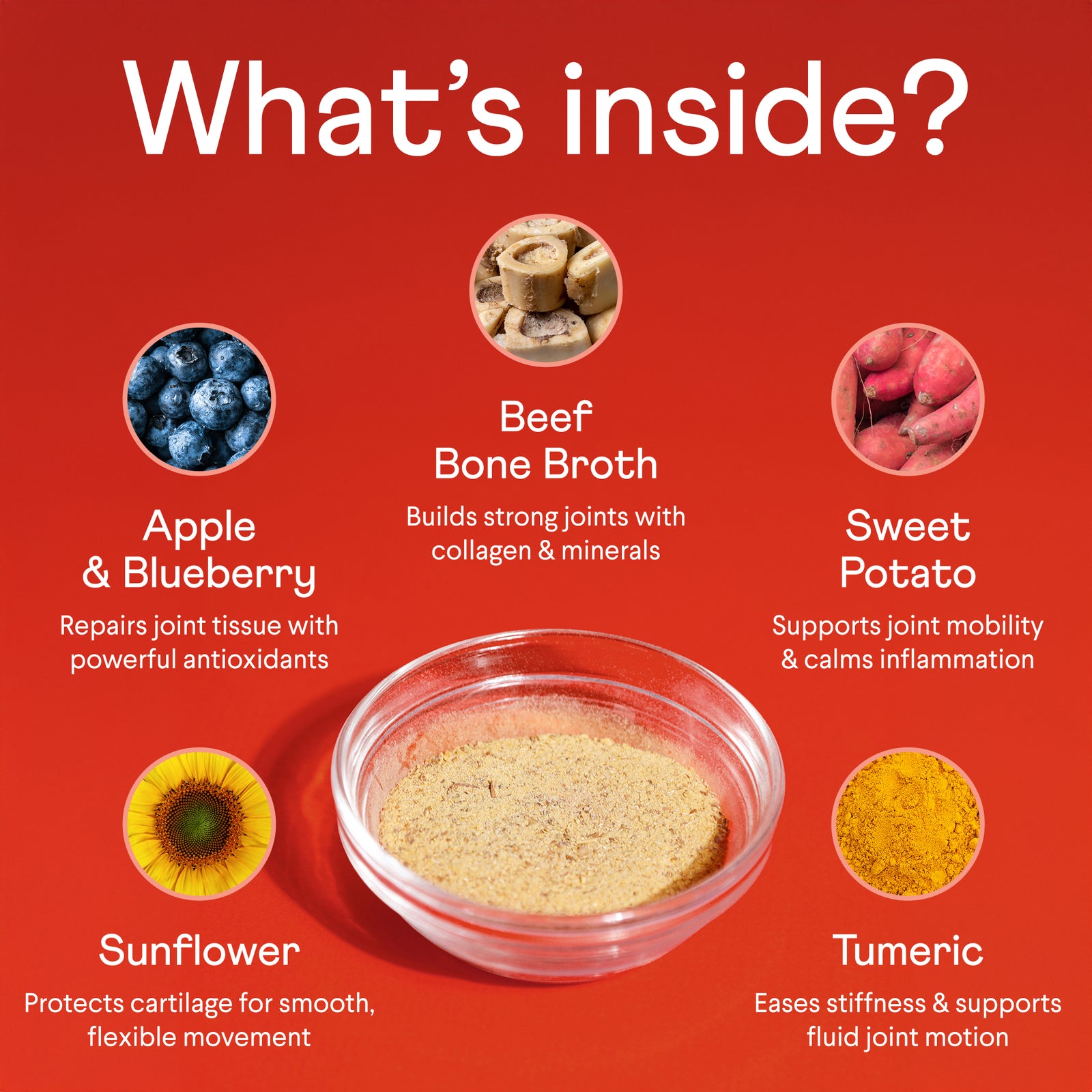 Bone Broth and the Gut Lining