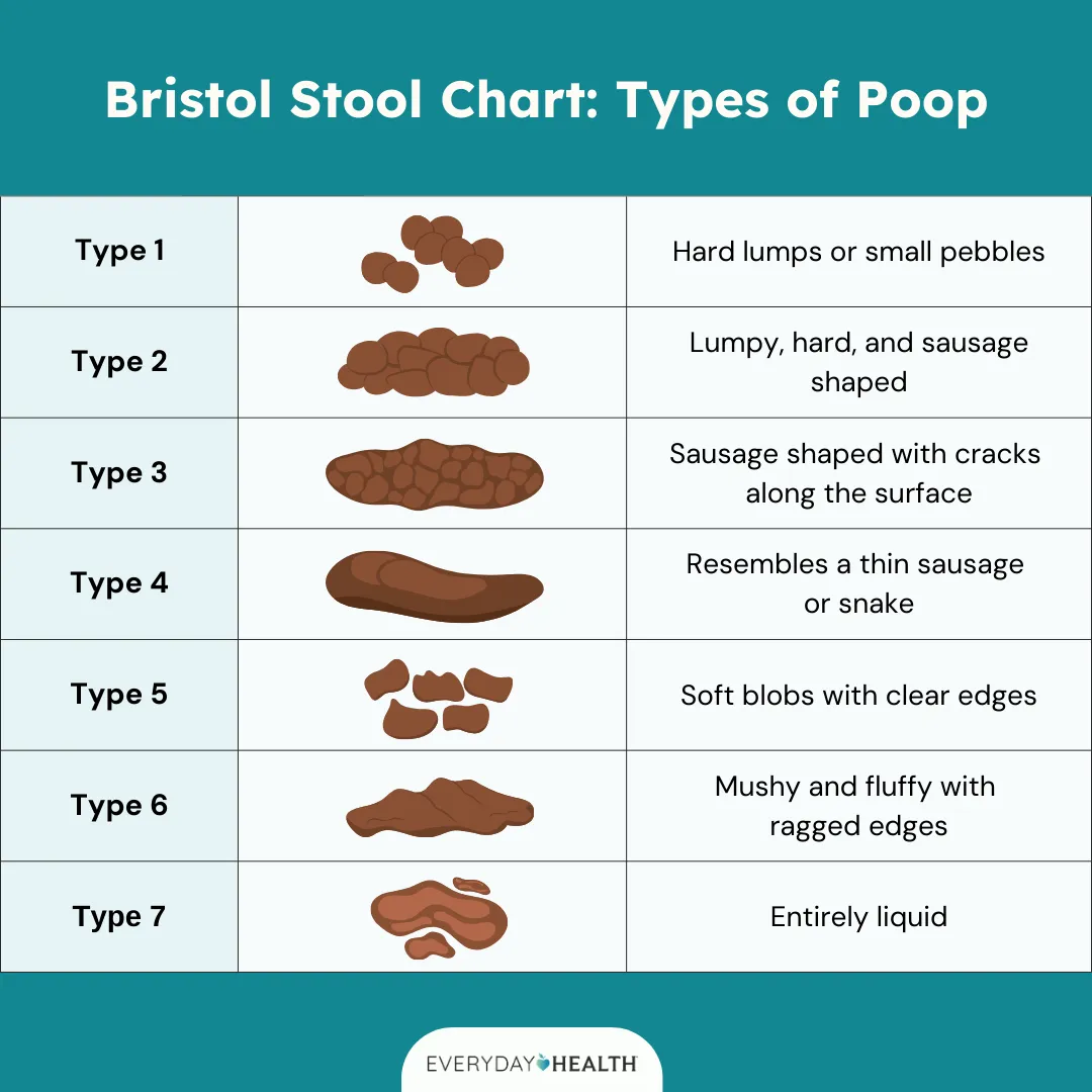 The Bristol Stool Chart Belongs in Every Bathroom