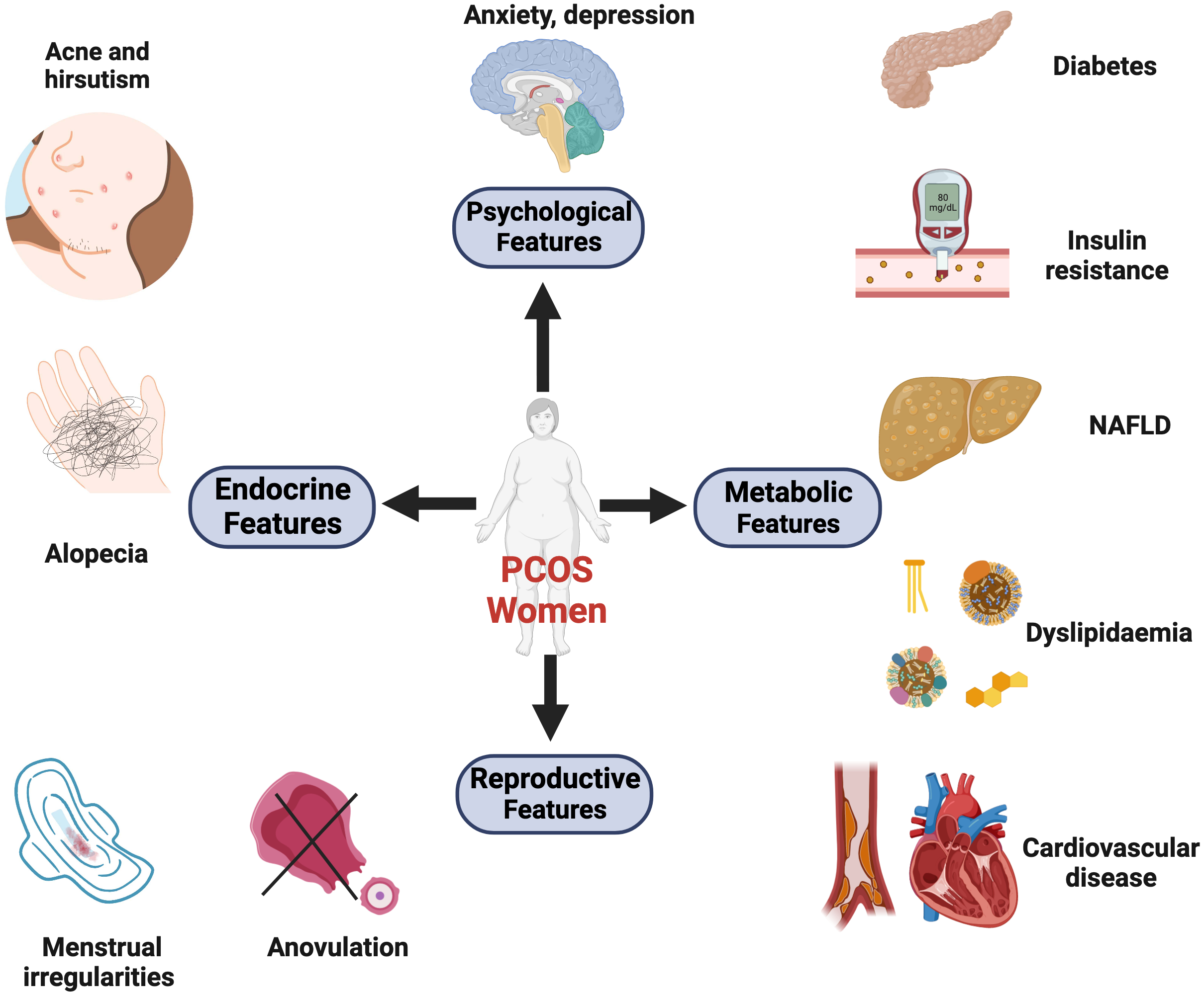 10. PCOS and the Androgen Question