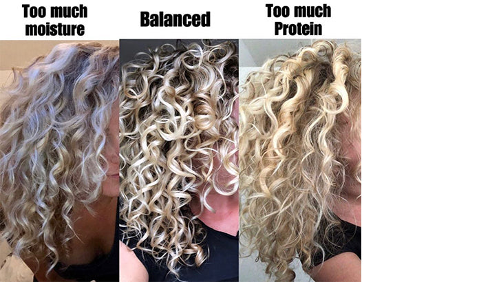 5. Protein and Moisture Are Not Optional, They Are a Balance